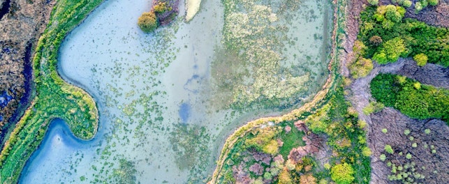 Zapewnienie wody pitnej wolnej od zagrożeń mikrobiologicznych pozostaje jednym z najważniejszych wyzwań w ochronie zdrowia publicznego.